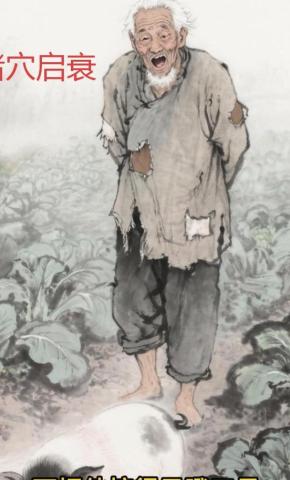 短剧猪穴启衰海报