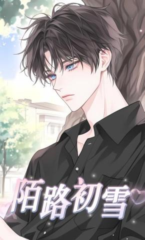短剧《陌路初雪》海报