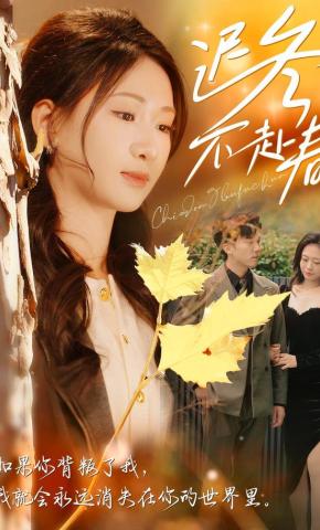 短剧迟冬不赴春海报