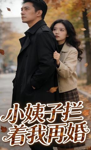 短剧《小姨子拦着我再婚》海报