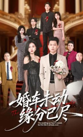 短剧婚车未动缘分已尽海报
