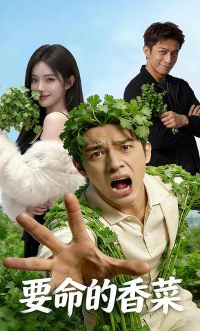 短剧《要命的香菜》海报