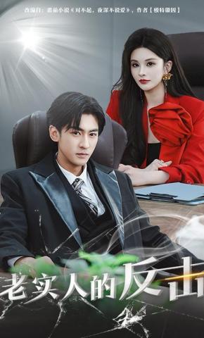短剧老实人的反击海报