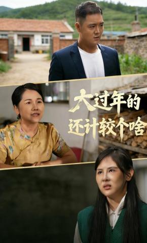 短剧大过年的，还计较个啥海报