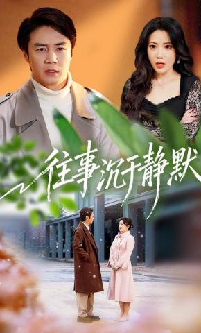 短剧《往事沉于静默》海报