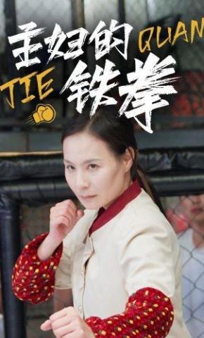 短剧《主妇的铁拳》海报