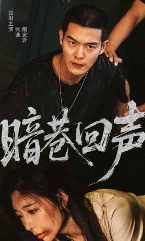 短剧《暗巷回声》海报