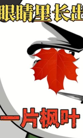 短剧《眼睛里长出一片枫叶》海报