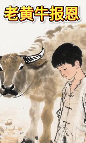 短剧《老黄牛报恩》海报