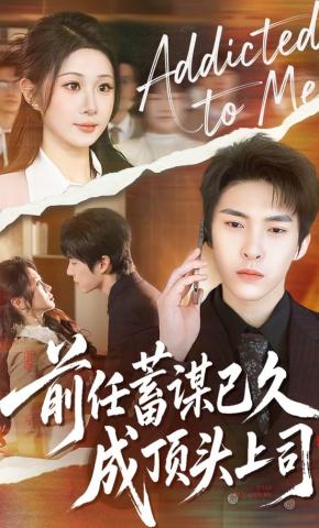 短剧《前任蓄谋已久成顶头上司》海报