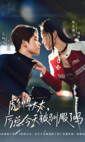 短剧《彪悍太太，厉总今天被驯服了吗》海报