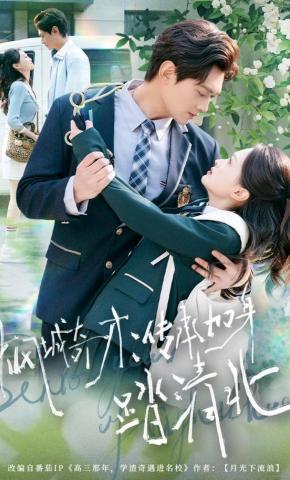 短剧《枫城奇才：传承加身踏清北》海报