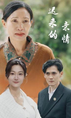 短剧《迟来的亲情》海报