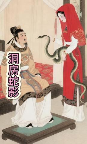 短剧《洞房蛇影》海报