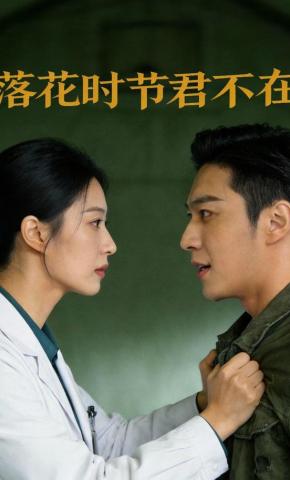 短剧《落花时节君不在》海报