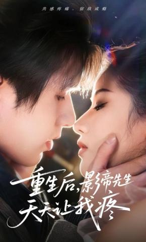 短剧重生后，影帝先生天天让我疼海报