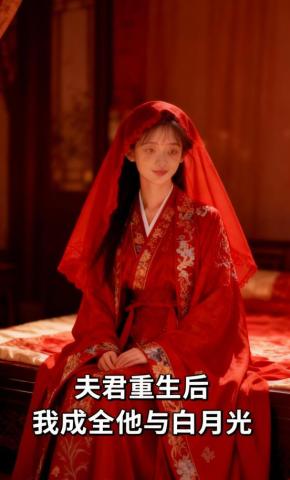 短剧《夫君重生后我成全他与白月光》海报