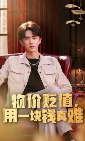 短剧《物值贬值用一块钱真难》海报