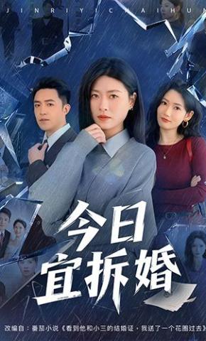 短剧《今日宜拆婚》海报