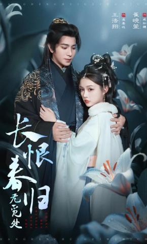 短剧长恨春归无觅处海报