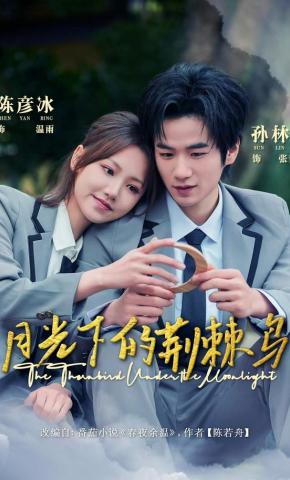 短剧月光下的荆棘鸟海报