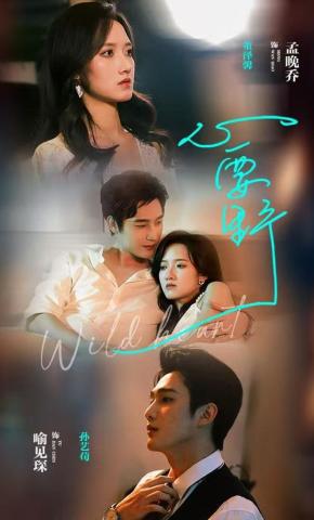 短剧心要野海报