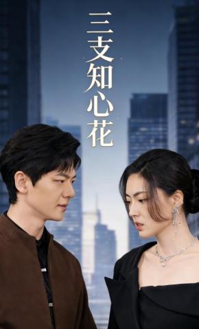 短剧三支知心花海报