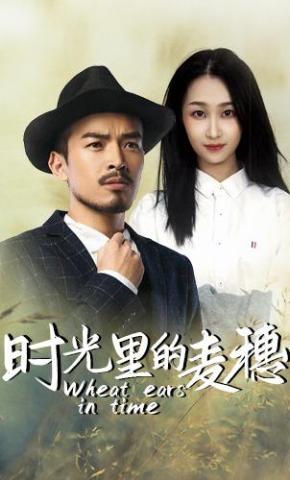 短剧时光里的麦穗海报