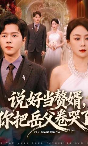 短剧《说好当赘婿，你把岳父卷哭了》海报