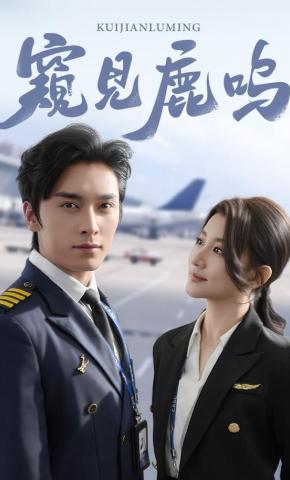 短剧窥见鹿鸣海报