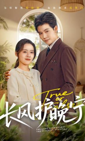 短剧《长风护晚宁》海报