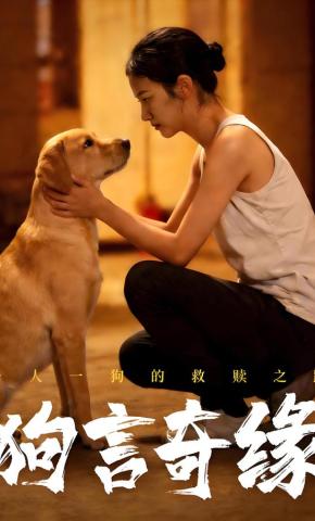 短剧《狗言奇缘》海报