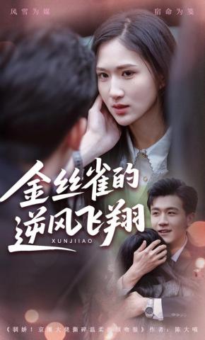 短剧《金丝雀的逆风飞翔》海报