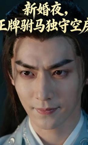 短剧《新婚夜，正牌驸马独守空房》海报