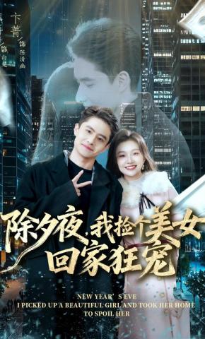 短剧《除夕夜，我捡个美女回家狂宠》海报