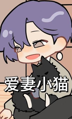 短剧《爱妻小猫》海报