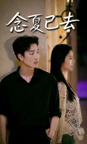 短剧念夏已去海报