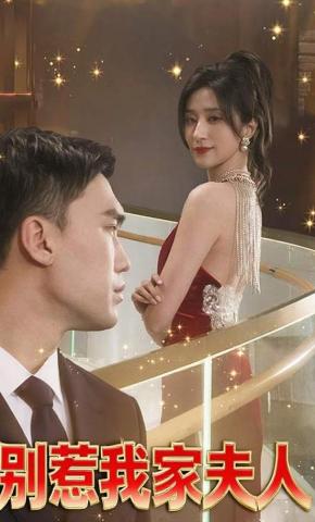 短剧别惹我家夫人海报