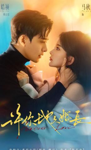 短剧《许你地久婚长》海报