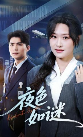 短剧夜色如谜海报