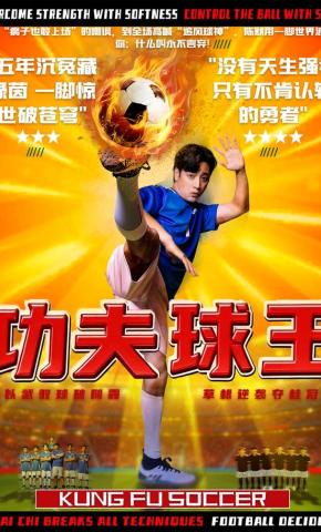 短剧功夫球王海报
