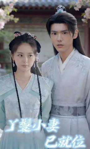 短剧丫鬟小妻已就位海报