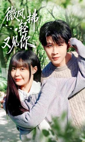 短剧《微风轻拂又见你》海报