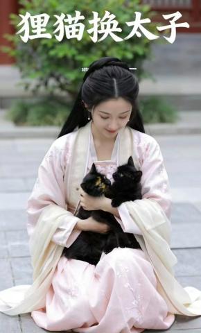 短剧《狸猫换太子》海报