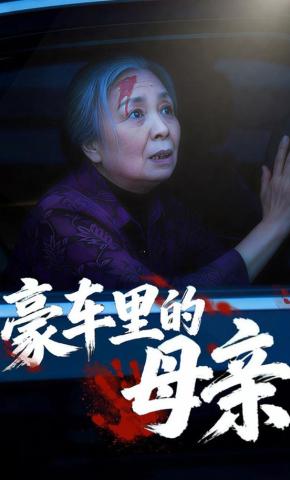 短剧《豪车里的母亲》海报