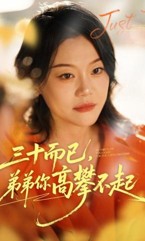 短剧三十而已，弟弟你高攀不起海报