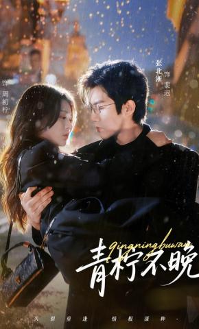 短剧《青柠不晚》海报