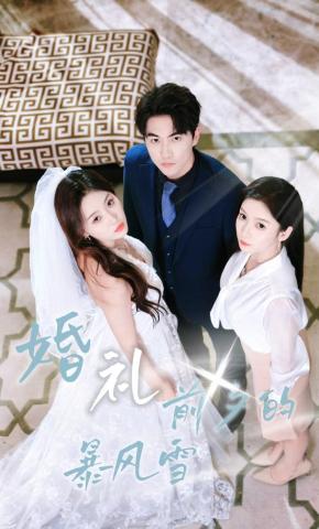 短剧《婚礼前夕的暴风雪》海报