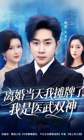 短剧《离婚当天我摊牌了，我是医武双神》海报