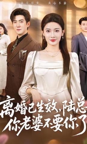 短剧《离婚已生效，陆总你老婆不要你了》海报